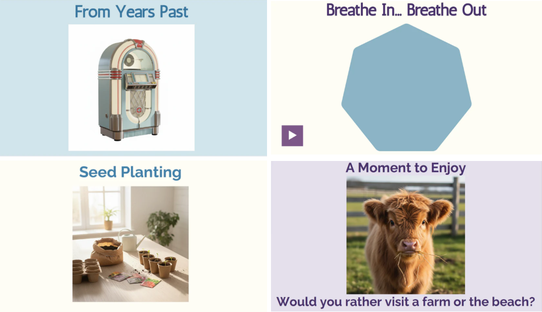 Wholeness Harbor Memory Care Program